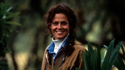 Sisteki Goriller izle