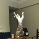 gselmss adlı kullanıcı