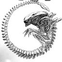 CSTGT adlı kullanıcı